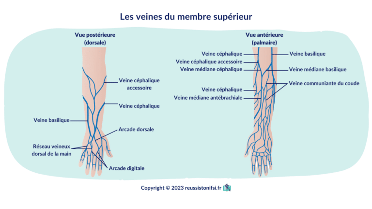 Guide pratique infirmier le prélèvement sanguin veineux