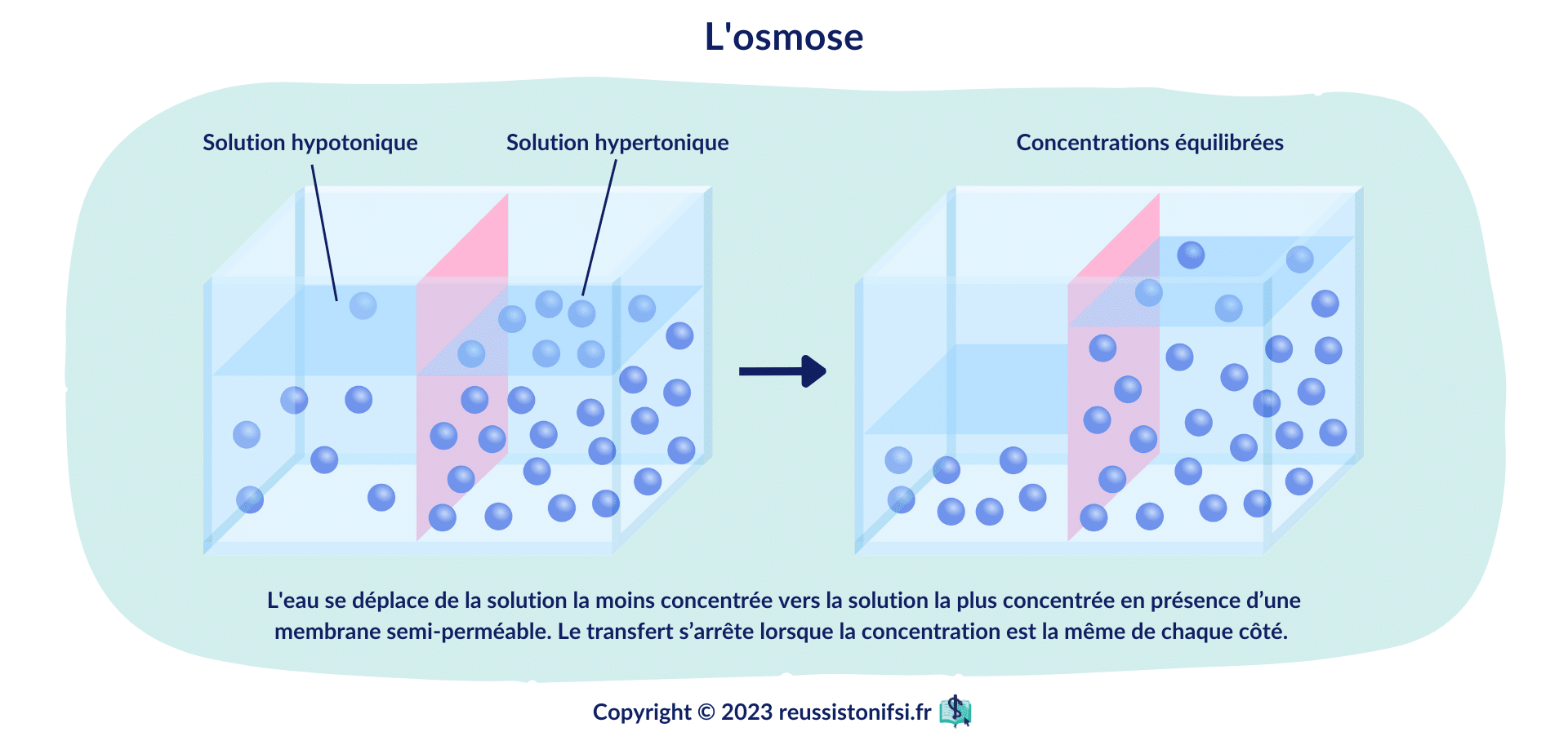 Guide des solutés pour infirmier(e)s et étudiant(e)s infirmier(e)s