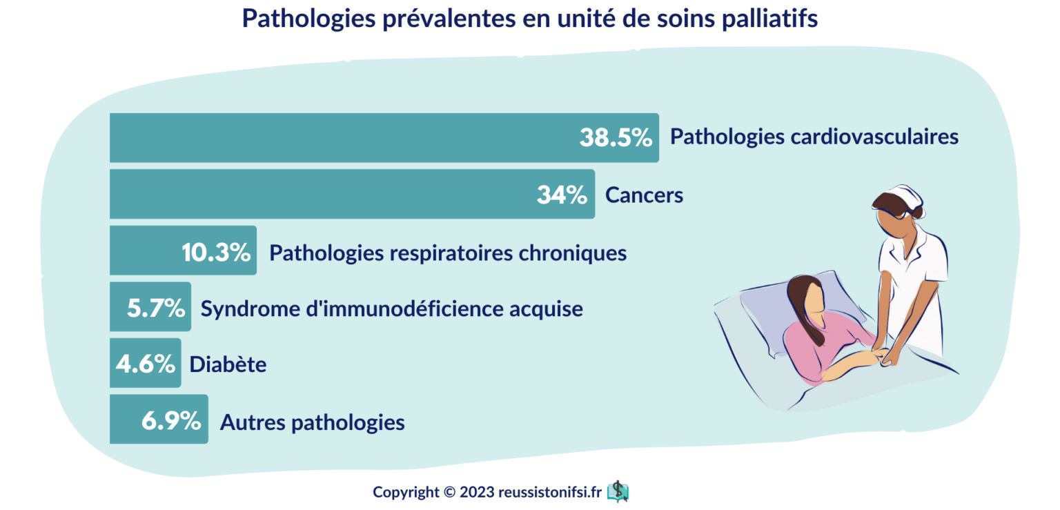 Guide Pratique Du Stage Infirmier En Unit De Soins Palliatifs Usp