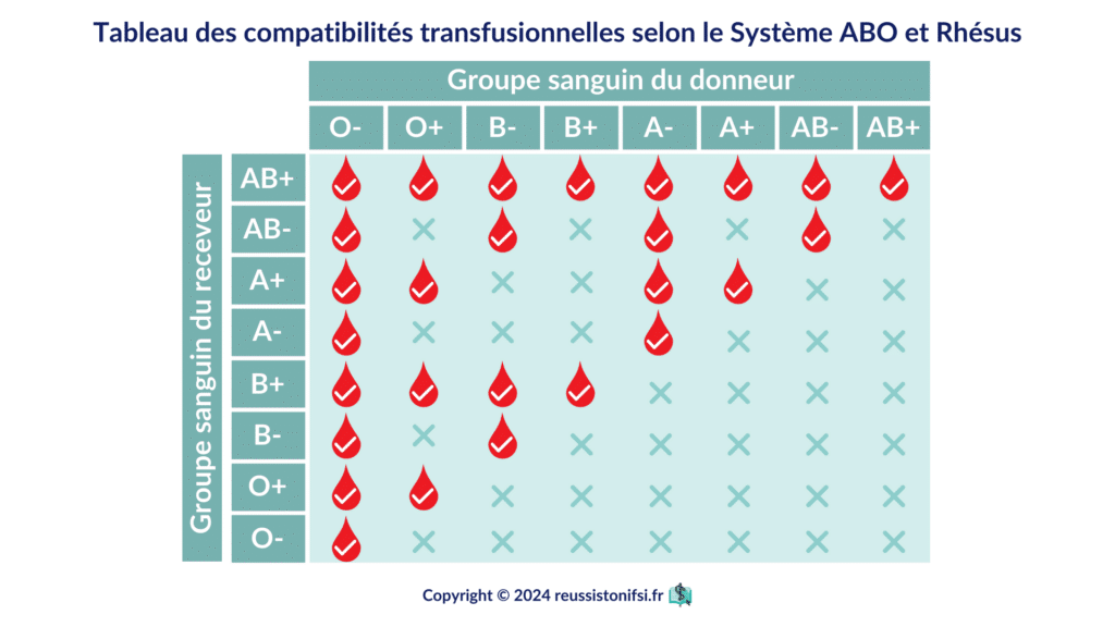 Infographie - Tableau des compatibilités transfusionnelles selon le Système ABO et Rhésus