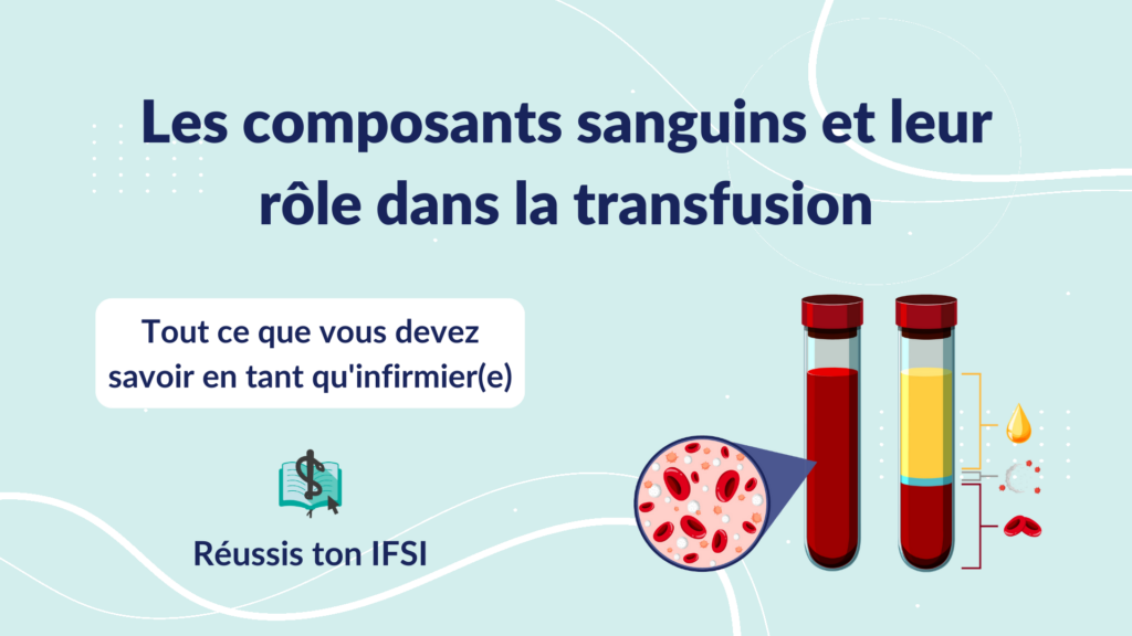 Vignette d'article - Les composants sanguins et leur rôle dans la transfusion