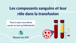Vignette d'article - Les composants sanguins et leur rôle dans la transfusion