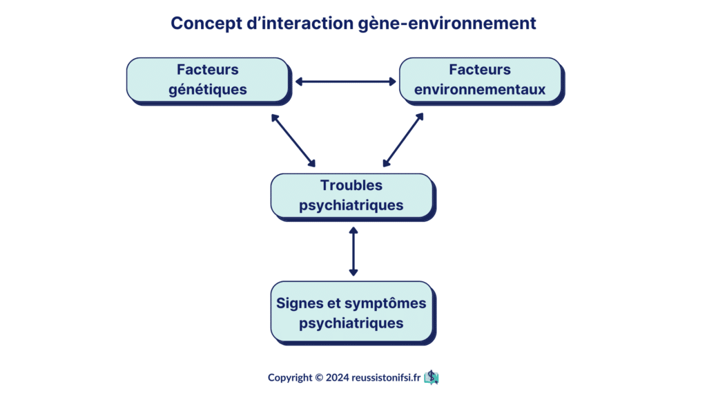 Infographie - Concept d’interaction gène-environnement