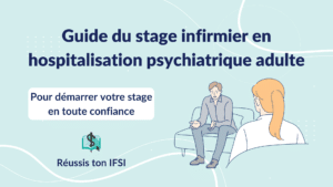 Vignette d'article - Guide du stage infirmier en hospitalisation psychiatrique adulte