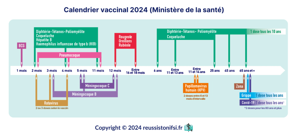 Infographie - Calendrier vaccinal 2024 (Ministère de la santé)