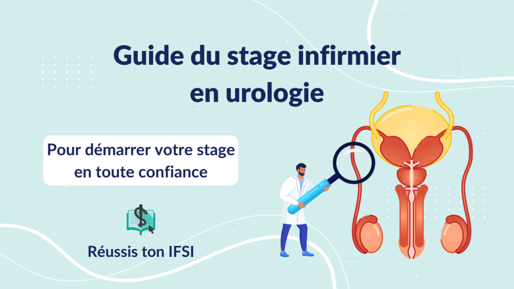 Vignette d'article - guide du stage infirmier en urologie