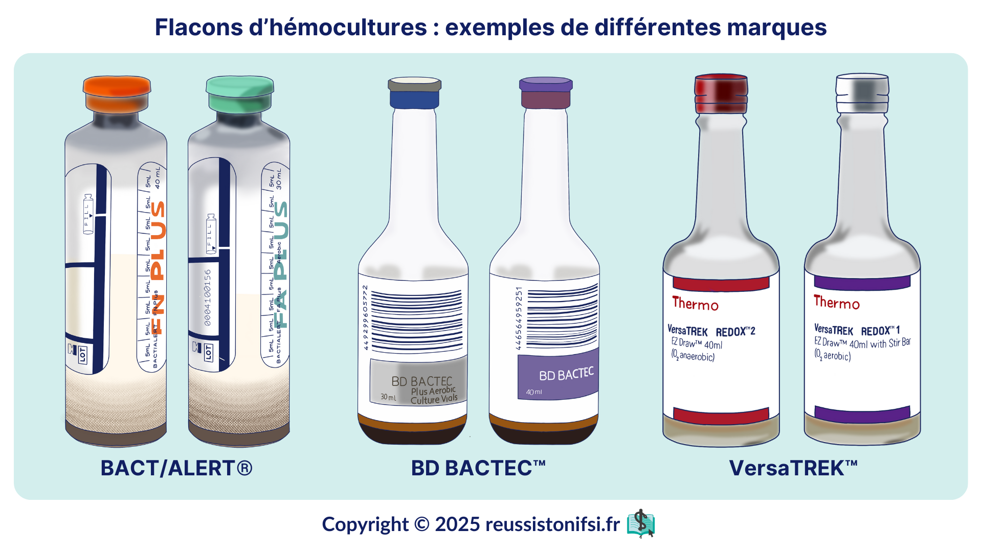 Infographie - Flacons d’hémocultures exemples de différentes marques