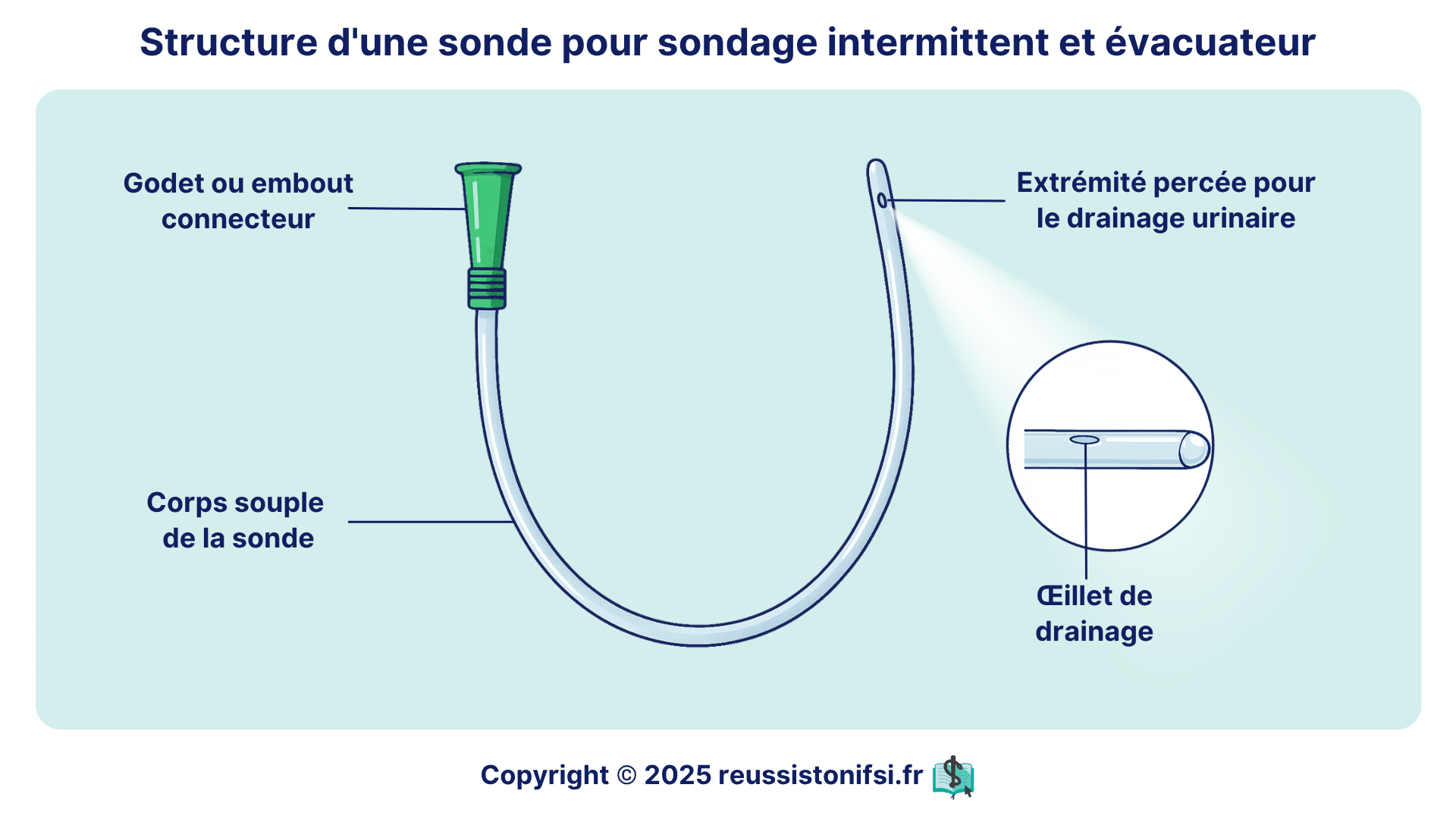 Sondage Intermittent Technique Indications Et R le De L infirmier e Sondage Intermittent Technique Indications Et R le De L infirmier e
