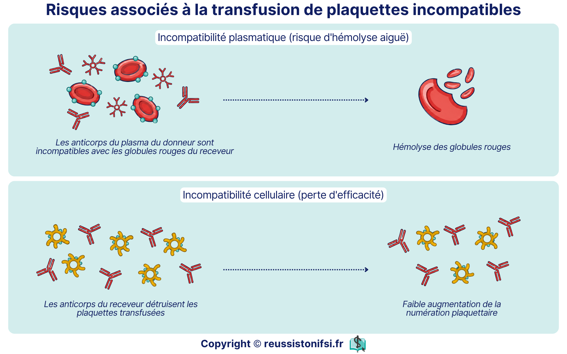 Transfusion de plaquettes incompatibles : risques d’hémolyse aiguë et de faible augmentation plaquettaire.
